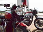 Triumph Bonneville T100 Bud Ekins Edition